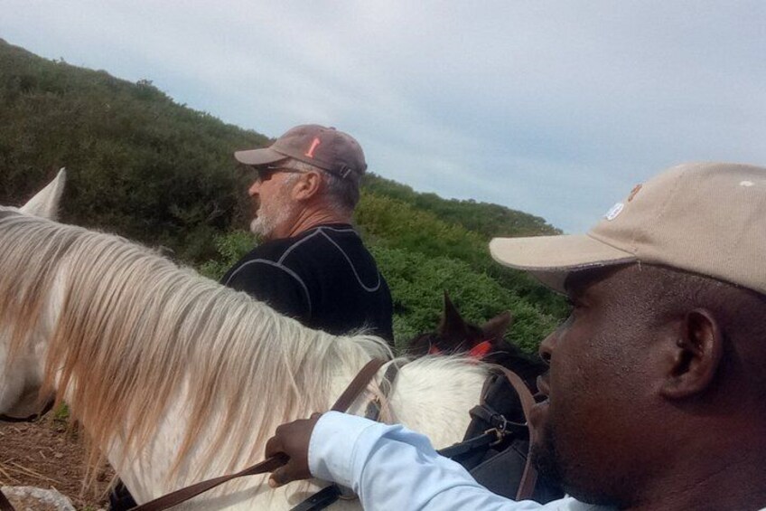 A person leading a white horse with a black mane, another person in a light blue shirt, and a third person in a beige cap. 5