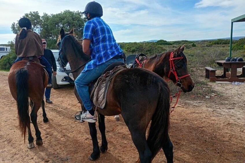 Three people on horseback, a dirt path, and a picnic table in the background. 1