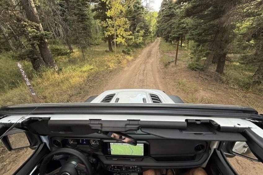 A vehicle's dashboard with a GPS navigation screen, steering wheel, and a rearview mirror. 5