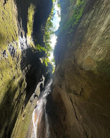 Picture 7 for Activity Cebu: Jungle Hike to Hidden Twin Waterfalls 2