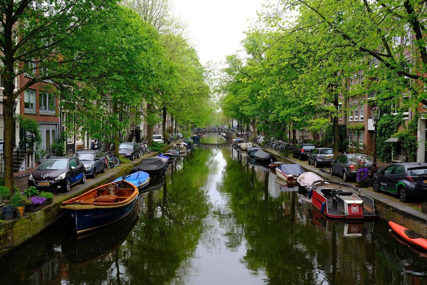 Picture 9 for Activity Amsterdam: Sights and Hidden Gems 5