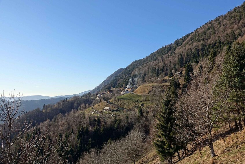A mountainous landscape with scattered houses and dense forest. 2