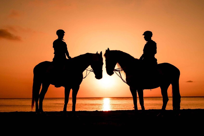 Two people on horseback facing each other with the sun setting in the background. 2