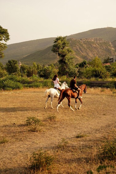Two people riding horses in a field with a hill in the background. 1
