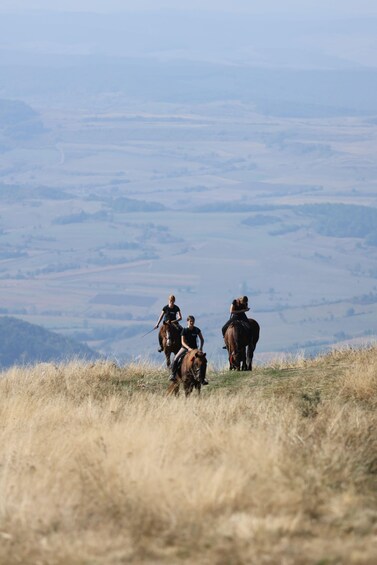 Garden City: Guided Horseback Ride with Scenic Views 1