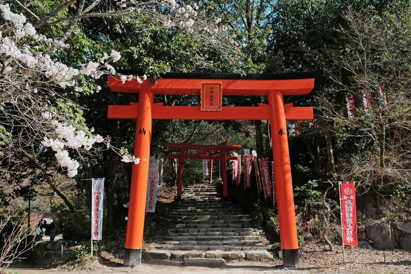 Picture 7 for Activity Fukuoka: Private Dazaifu Tenmangu & Ancient Capital 5