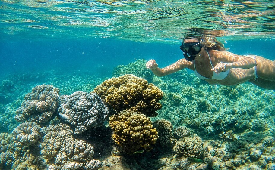A person snorkeling underwater, surrounded by coral reefs. 4