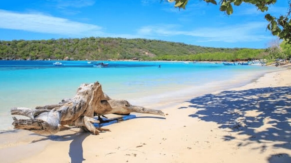 A sandy beach with a large log, clear turquoise water, and boats in the distance. 3