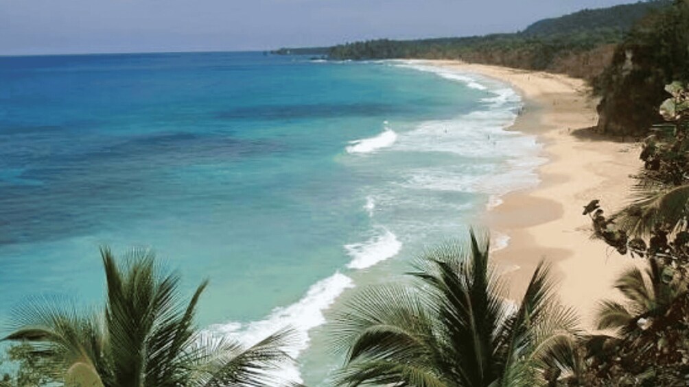 A beach with clear turquoise waters, sandy shore, and palm trees. 4