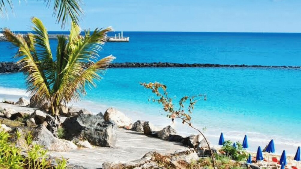 A tropical beach with clear blue water, a palm tree, and a pier in the distance. 1