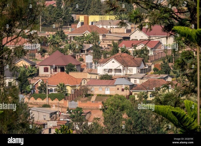 A residential area with houses, some with red roofs, surrounded by greenery and trees. 3