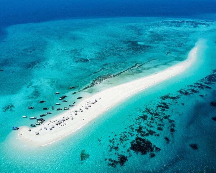 Picture 1 for Activity Zanzibar: Prison Island & Nakupenda Sandbank with BBQ 2