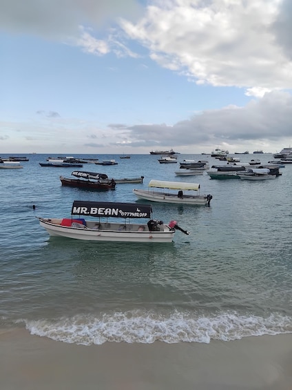 Picture 8 for Activity Zanzibar Prison Island and Nakupenda Sandbank with BBQ 5