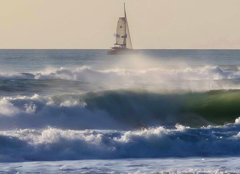 Private History and Discovery Tour of Hossegor and Capbreton 1