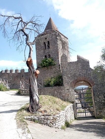 A historic stone tower with a conical roof, a tree in the foreground, and a stone wall with a gate in the background. 3
