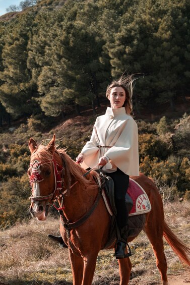 A person riding a horse with a saddle and bridle, set against a backdrop of trees and hills. 1