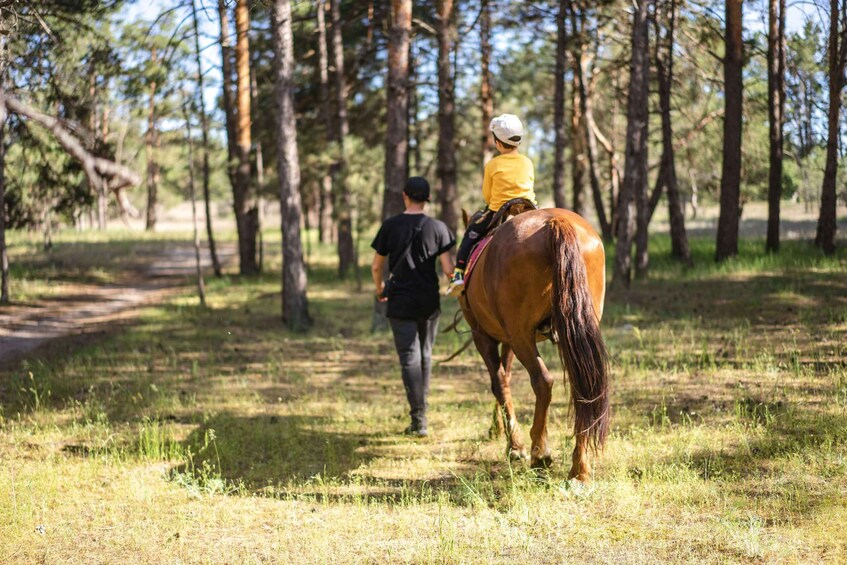 Picture 1 for Activity Småland: Guided Horseback Riding Tour in the Forest 2