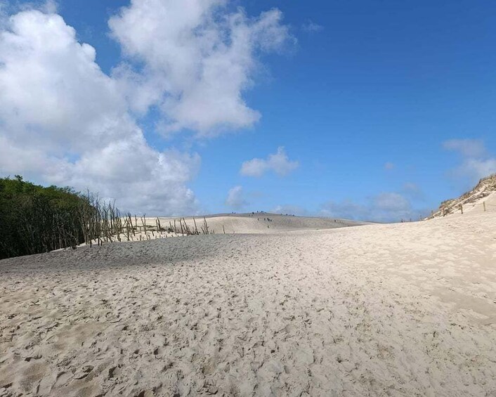 A sandy beach with sparse vegetation and a clear blue sky. 1