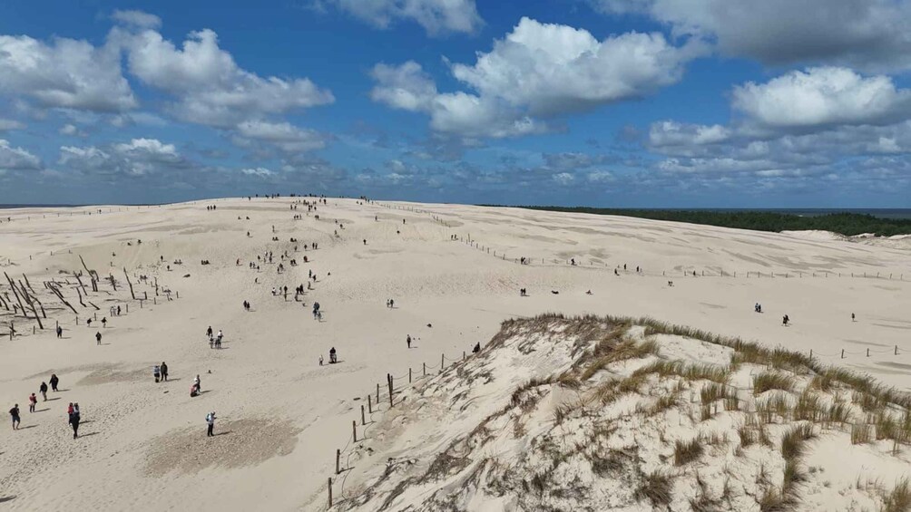 Picture 1 for Activity Łeba Moving Dunes Day Trip – The Polish Sahara 3