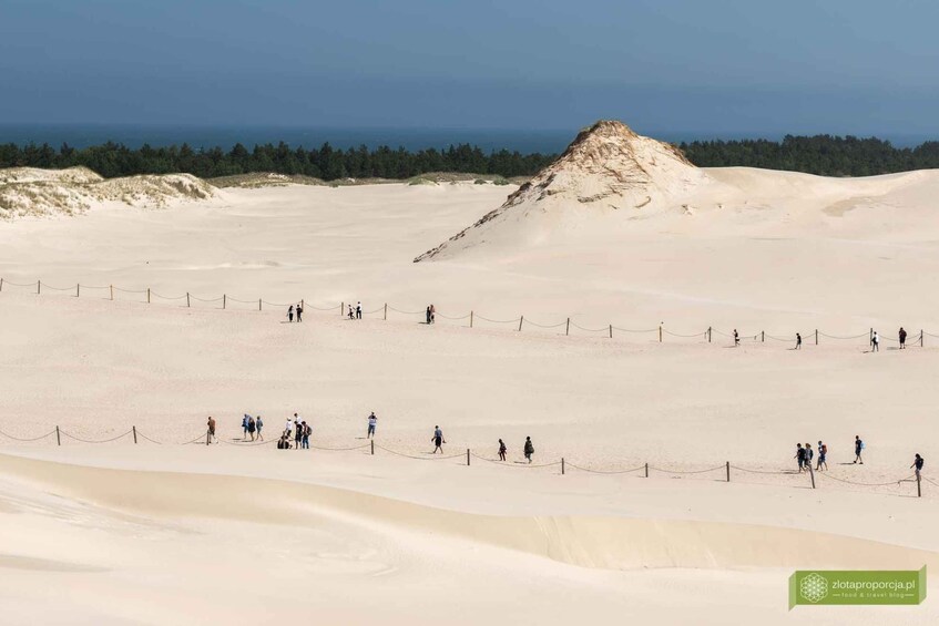 Łeba Moving Dunes Day Trip – The Polish Sahara 3