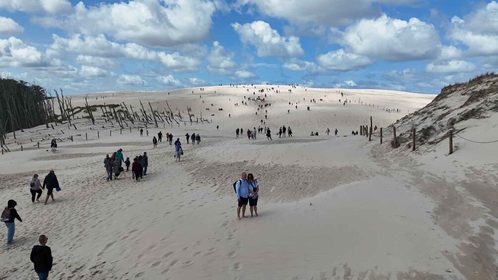 Picture 2 for Activity Łeba Moving Dunes Day Trip – The Polish Sahara 2
