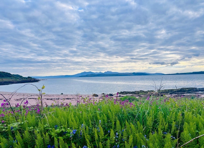 A coastal landscape with a body of water, mountains in the distance, and a foreground of green vegetation and purple flowers. 5