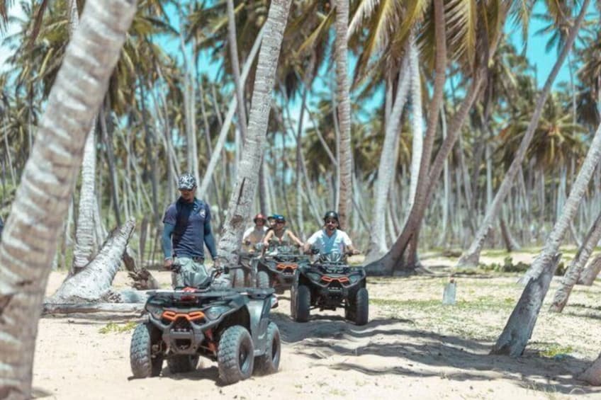 A group of people on ATVs in a tropical setting with palm trees. 1