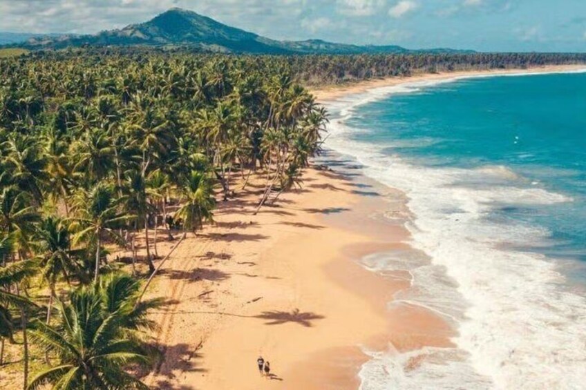 A beach with palm trees and a mountain in the background. 5