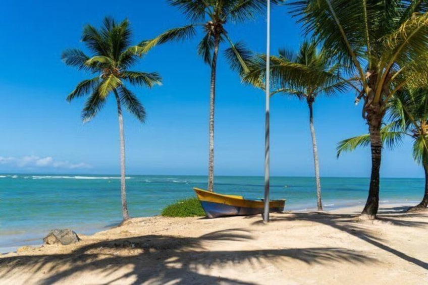 A beach with palm trees and a boat on the sand. 3