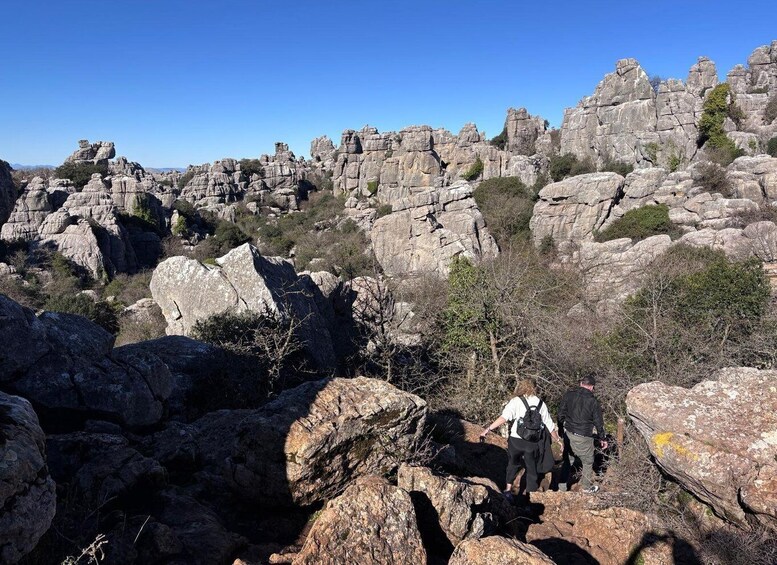 Hikers on a rocky trail with large boulders and sparse vegetation. 3
