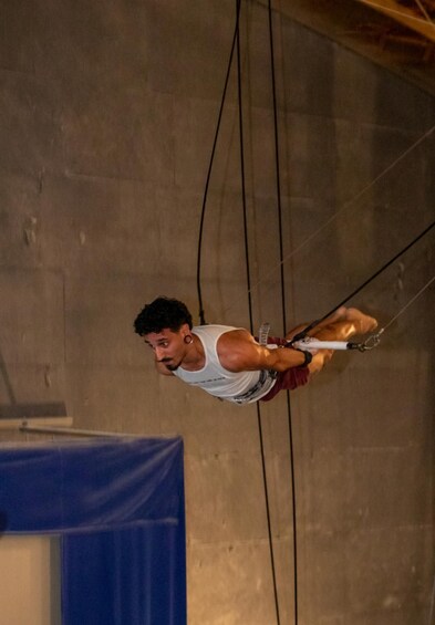 A person performing an aerial act with a trapeze. 4