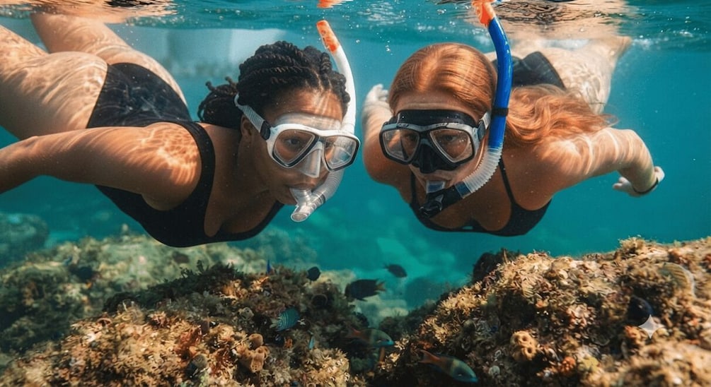 Twee mensen snorkelen onderwater, omringd door zeeleven en koraalformaties. 1