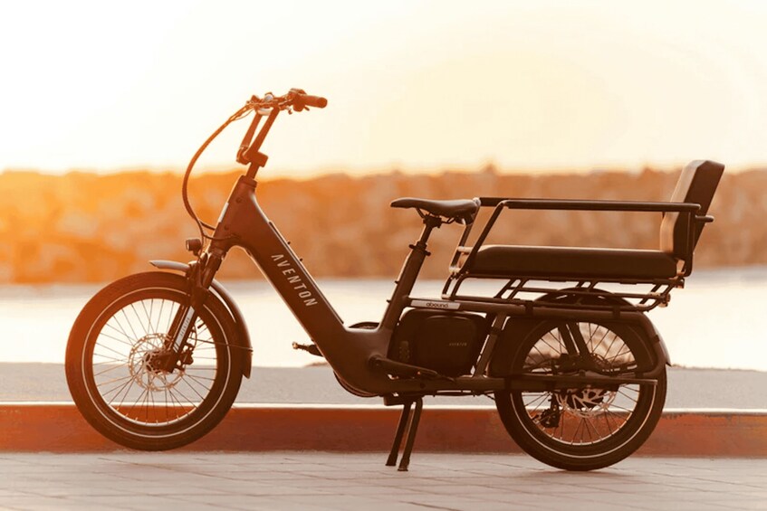 A stationary electric bicycle with a cargo rack and a seat, parked on a paved surface near a body of water. 3