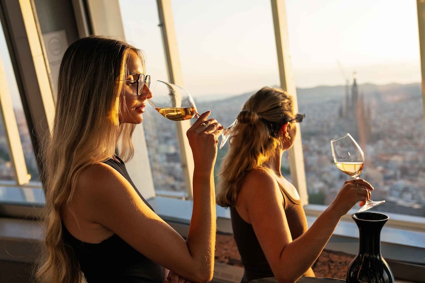 Picture 2 for Activity Barcelona: Torre Glòries Vantage Point with Wine Tasting 2