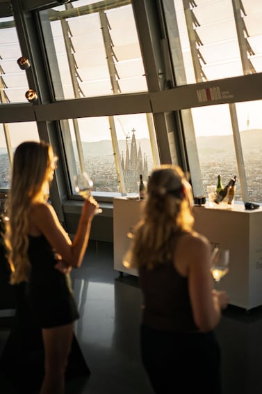 Picture 5 for Activity Barcelona: Torre Glòries Vantage Point with Wine Tasting 3