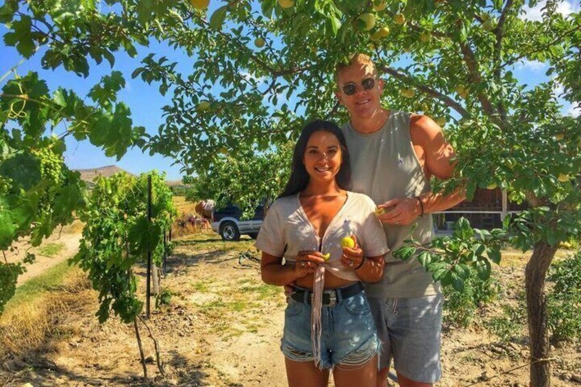 Two people standing under a tree with fruit, a vehicle, and a building in the background. 1
