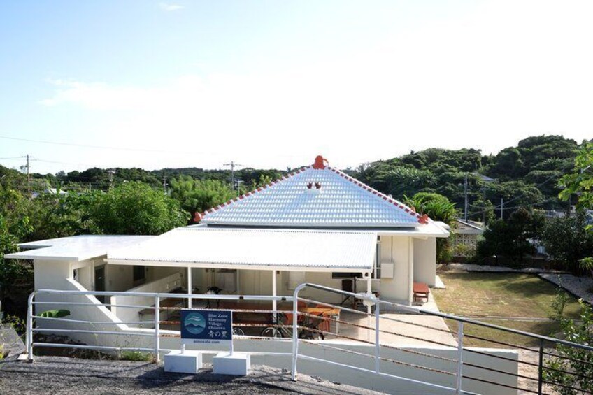 Traditional Okinawan Sanshin Experience in Nakijin Village 4