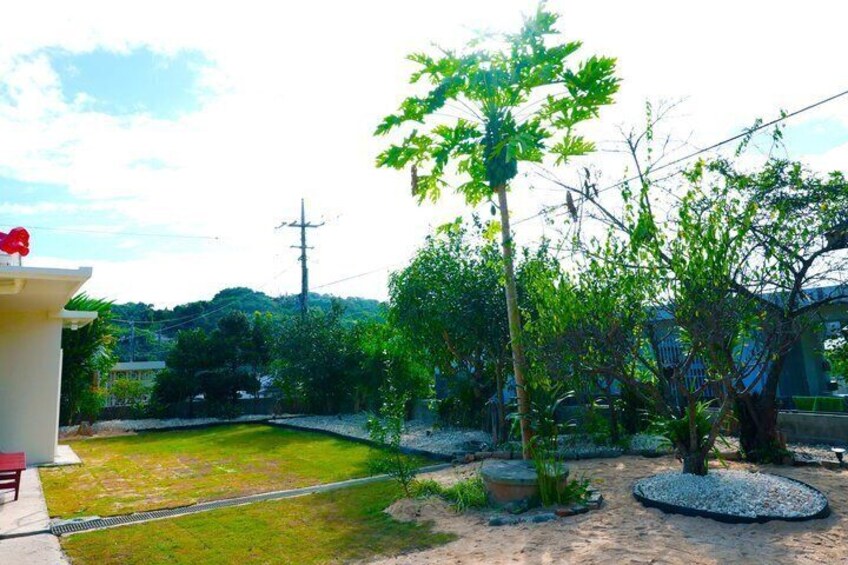 Traditional Okinawan Sanshin Experience in Nakijin Village 2