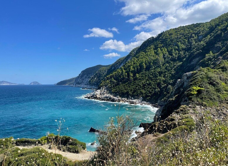 A coastal landscape with a clear blue sea, rocky cliffs, and dense green vegetation. 4