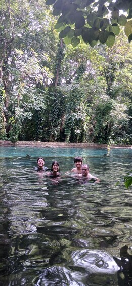 A group of people swimming in a clear pool surrounded by dense foliage. 5