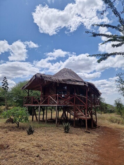 A wooden structure with a thatched roof, elevated on stilts, surrounded by dry grass and sparse vegetation. 3