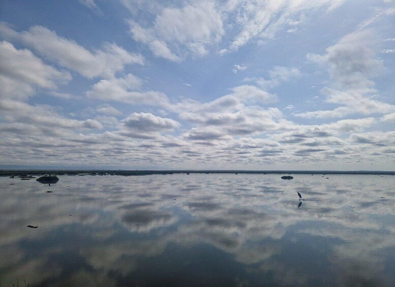 A calm sea with a clear sky and scattered clouds. 1