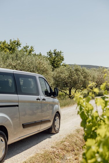 A silver van parked on a dirt path surrounded by olive trees. 3