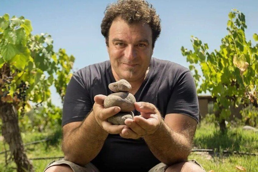 A person holding a stone in a vineyard. 2