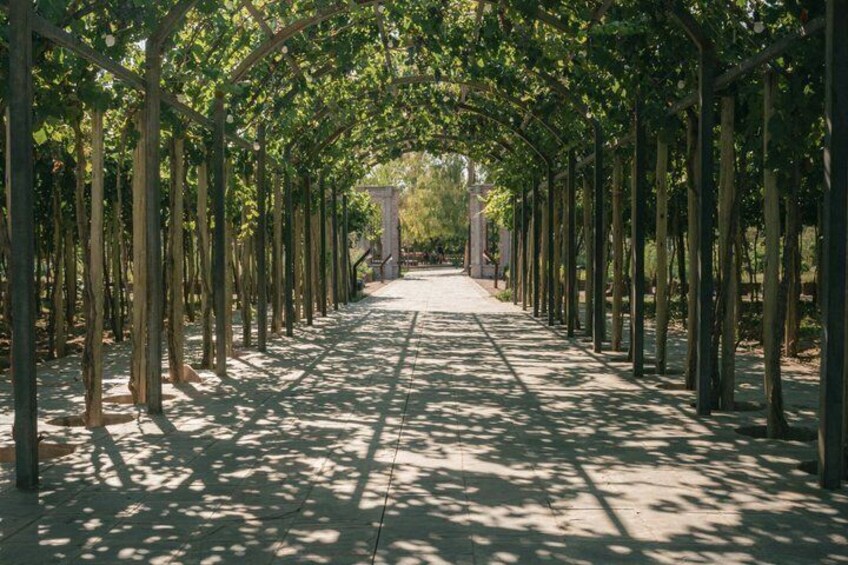 A pathway lined with trees and a central walkway. 5
