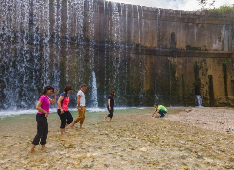 Alpe Cimbra: Forest Bathing with the 5 Senses 1