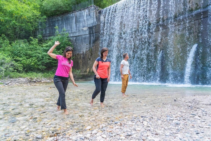 Picture 1 for Activity Alpe Cimbra: Forest Bathing with the 5 Senses 2