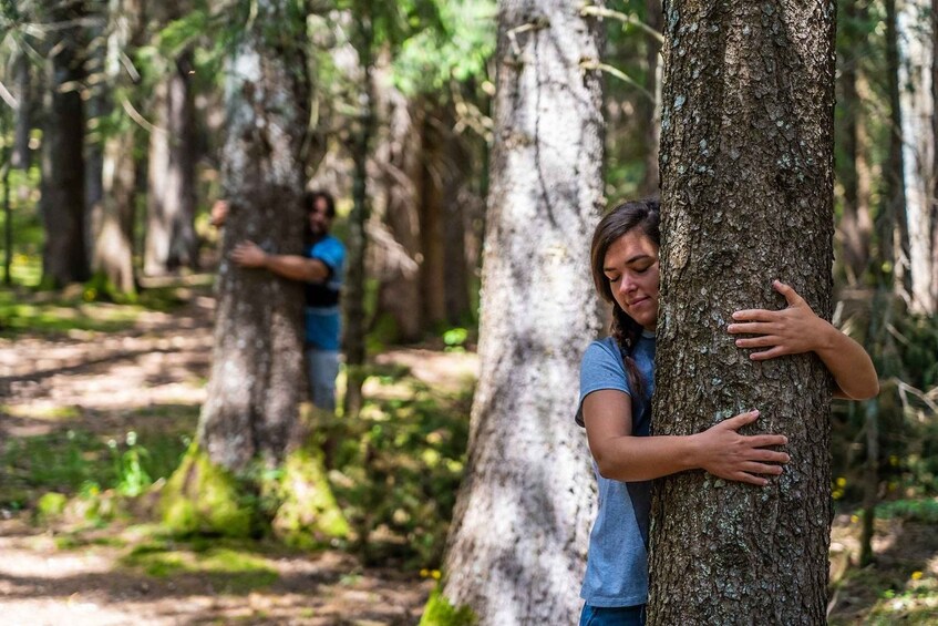 Picture 3 for Activity Alpe Cimbra: Forest Bathing with the 5 Senses 3