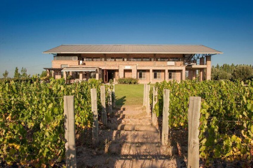 A large building with a flat roof, surrounded by rows of grapevines. 2