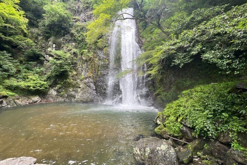 A waterfall cascading into a pond surrounded by lush greenery. 4